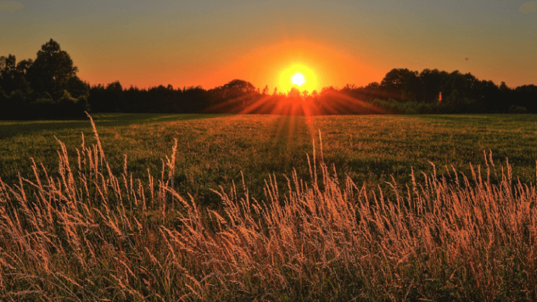 Pôr do sol no Atibainha: Um presente da natureza