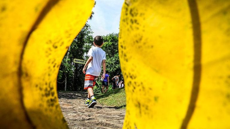 A importância do contato com a natureza na infância