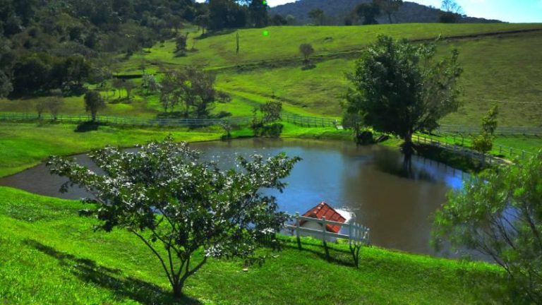 Dicas para aproveitar a natureza no Atibainha