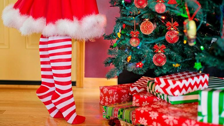 Natal no Atibainha: viva dias de alegria e descanso em meio à natureza